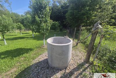 Teren intravilan (2292mp) de vanzare in Vintu de Jos - 9