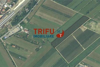 Teren agricol extravilan de 26701 mp, în Ampoi 1