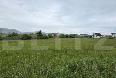 Teren Construcții intravilan de 4830 mp, în Unirea