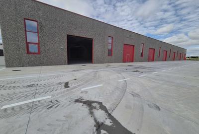 HALĂ INDUSTRIALĂ MODERNĂ DE VANZARE| CHITILA | ACCES RAPID CENTURA - 3