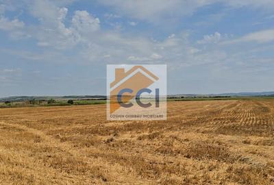 Teren intravilan– 50.000 mp, Bacău, Șoseaua Hol - 8