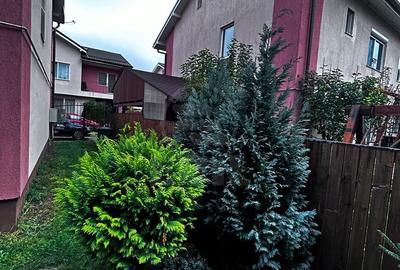 Duplex zona Sub Cetate - 20