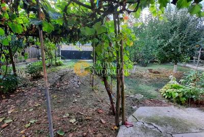 🏡 CASĂ BĂTRÂNEASCĂ LOCUIBILĂ DE VÂNZARE – TRIFEȘTI, IAȘI 🏡 - 8