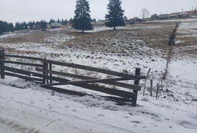 Teren agricol intravilan de 10900 mp, în Măguri-Răcătău