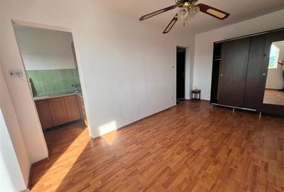 Apartament cu 1 camera de vanzare Mureseni - 4
