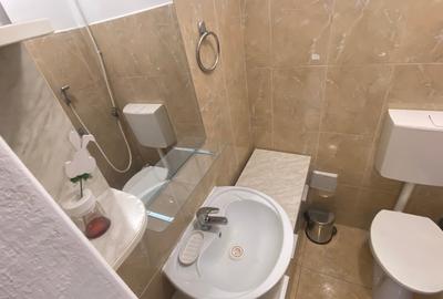 Bd. Unirii, C.E.C., Piata Alba Iulia, ap 3 camere. - 12