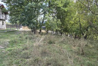 TEREN IN VLADESTI - NATURA, LINISTE SI DOAR 7 KM PANA IN CENTRUL RAMNICULUI - 2