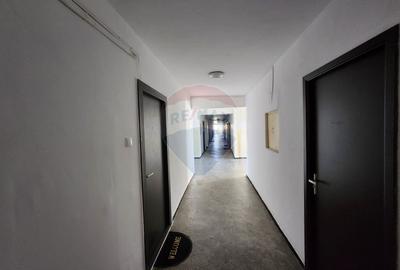 Bd. Chisinau | Basarabia luminoasa, mobilata si utilata - 9