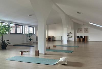 Studio sau birouri mansarda Universitate - strada Sfintilor 6 - 2