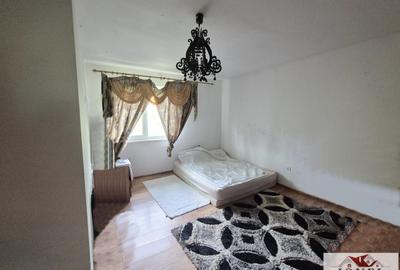 Vanzare casa in Vintu de Jos - Parau lui Mihai - 7