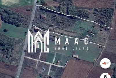 Teren intravilan | 20.000 MP | Parcelabil | Daia - 3