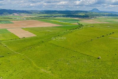 Teren de investiție în zona Tohanul Nou - Bran  5.800 mp - 13