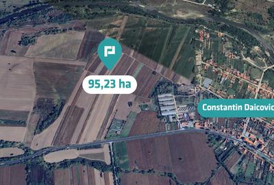 Teren extravilan 95.23 ha lângă Caransebeș - 6