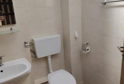 Apartament 2 camere la strada in Bucecea - 15