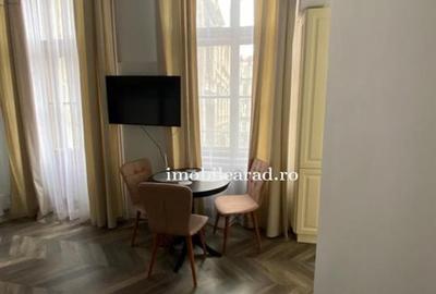 Apartament 60 Euro pe zi, amenajat in stil unic langa Primaria Arad - 18