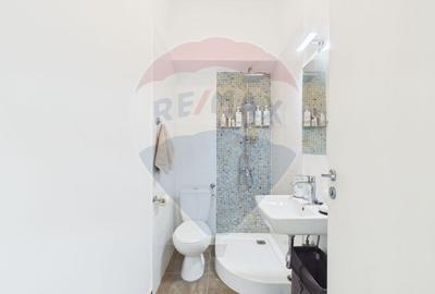Apartament cu 3 camere de vanzare, centrala proprie - Mihai Bravu - 12