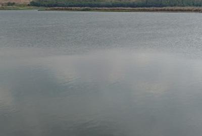 Luciu de apă 10 hectare – județul Călărași – la 1 oră de București - 1