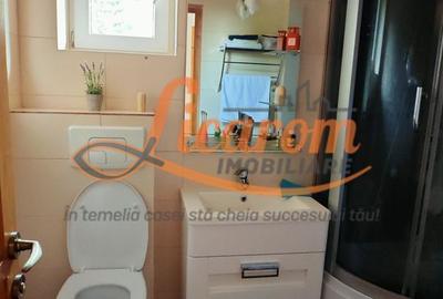 Apartament la casa + anexa gospodareasca, zona Blumana -Bartolomeu. - 7