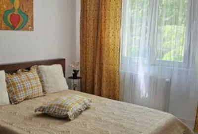 2 camere Gorjului - Apusului *centrala proprie* - 5