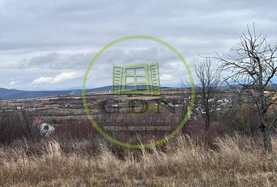 Teren intravilan, 1000 mp, Daia Noua - 1