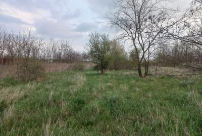 Teren de vanzare in Snagov, Jud. Ilfov - 3