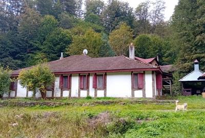 Casa de vacanta Crivaia, langa Valiug -locatie idilica, ideala pentru timp liber - 1