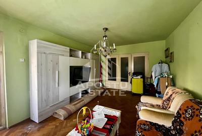 Apartament 4 camere de vanzare, zona Take Ionescu, Timisoara - 4