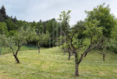 Casă rustică de vânzare în Tilișca, (Marginimea Sibiului) - 23
