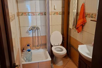 Vanzare casa Dr Tr Severin - 13