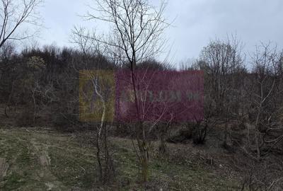 Teren de vanzare in Brebu - Raul Doftana - 6