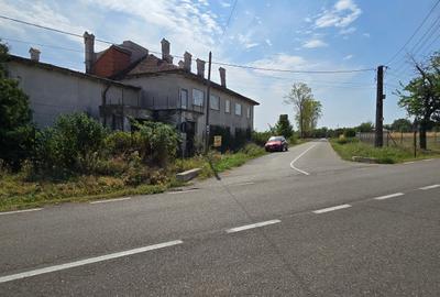 1 hectar de teren intravilan cu constructii la strada in Cucorani - 2