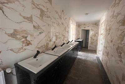 Lugoj, Pensiune 16 Cam., 850 Mp, Renovata Str. Principala - 15