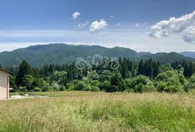 Vand teren intravilan Predeal, Timisul de Sus ideal obiective turistice - 3