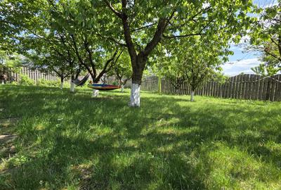 Casa spatioasa, garaj si foisor – Valea Lupului - 6