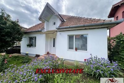 Casa de vanzare in Alba Iulia - Cetate - Schit - 10