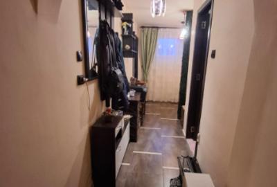 Drumul Taberei - Raul Doamnei - Apartament 2 camere -  Modern - 19