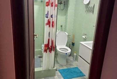Apartament 3 camere Calea Calarasi-Matei Voievod - 8