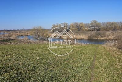 Loturi de Casa pe malul Lacului Creața, Dascălu – 460 mp + Drum servitute - 2