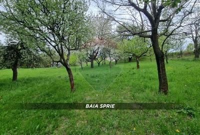 Teren in Baia Sprie de vanzare | Strada Closca - 1