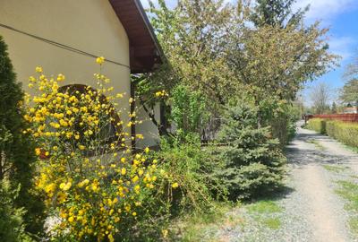 Casa curte/ Otopeni/ curte foarte mare/firma rent a car/parcare long t - 9
