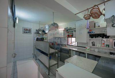 Oportunitate de investiție, Restaurantul Piatra Grăitoare,Vârtop,Bihor - 27