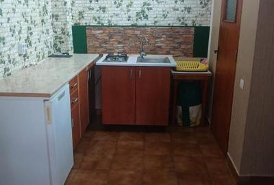 Grasoniera Podul Grand la curte la 350 euro - 8