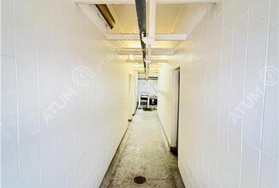 Spatiu comercial de 380 mp utili si teren 683 mp zona Terezian Sibiu - 6