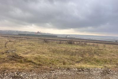 Teren De Vanzare 800mp I Moara, Suceava I Preț: 45.000 Euro - 10
