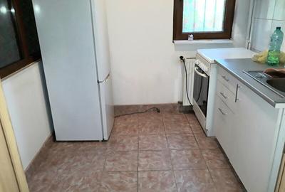 Colentina Rau, Mc Donalds, Mr. Bacila, Parc Plumbuita, stradal - 9