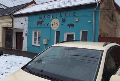 Timisoara-Fratelia,casa de vanzare - 10