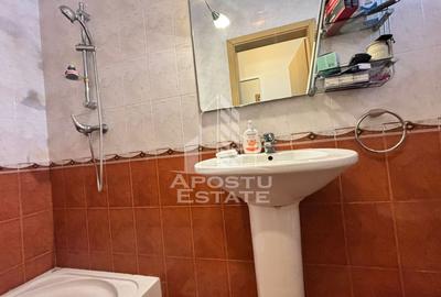 Casa individuala de vanzare cu 4 camere in zona Braytim, Timisoara - 8