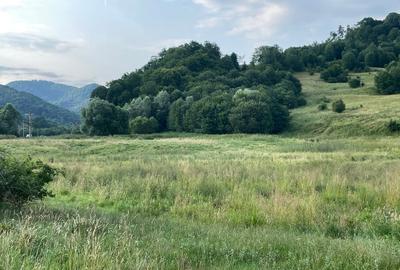 Teren intravilan unic dezvoltare turistica PUZ S+D+P+2,3M hotel, case de vacanta - 13