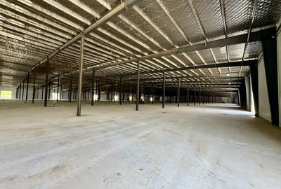 Centru Comercial  16000 mp hale depozitare productie logistica - 12