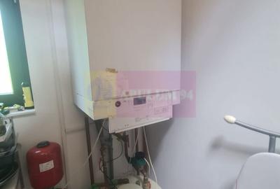 Vila de vanzare cu 6 camere in Cornu (teren 6.600 mp) - 35